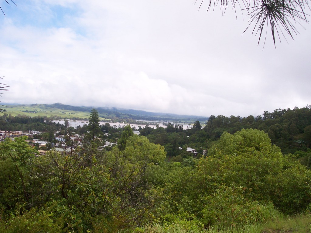 View North from the local lookout