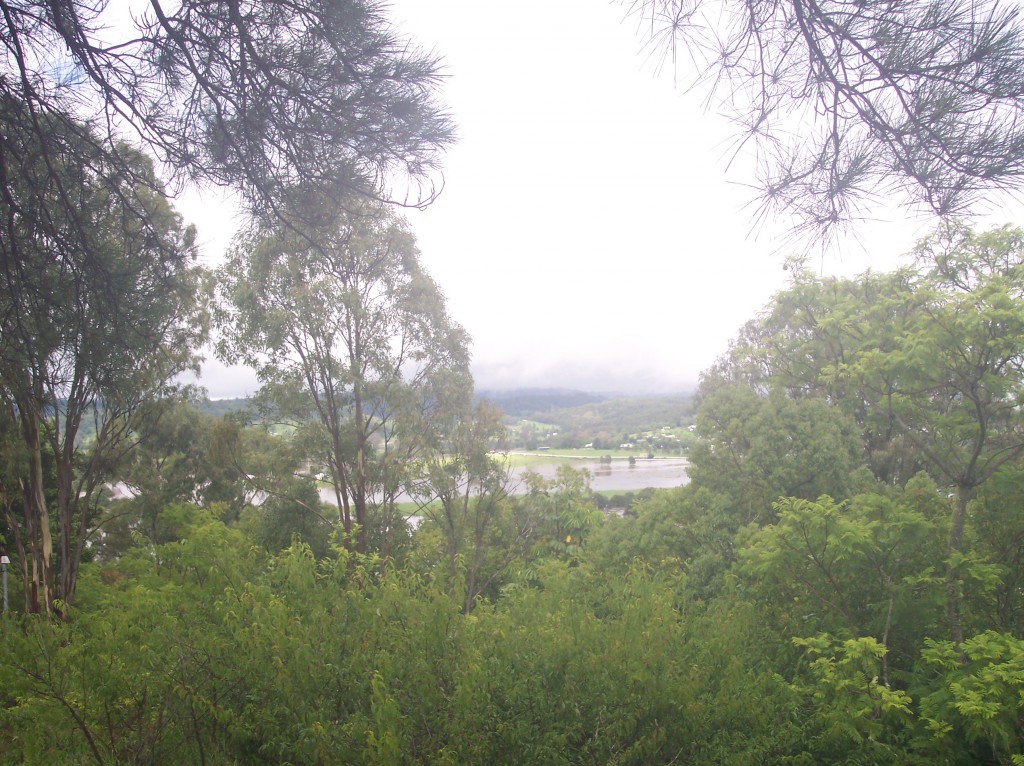 View due-west from local lookout towards Geneva