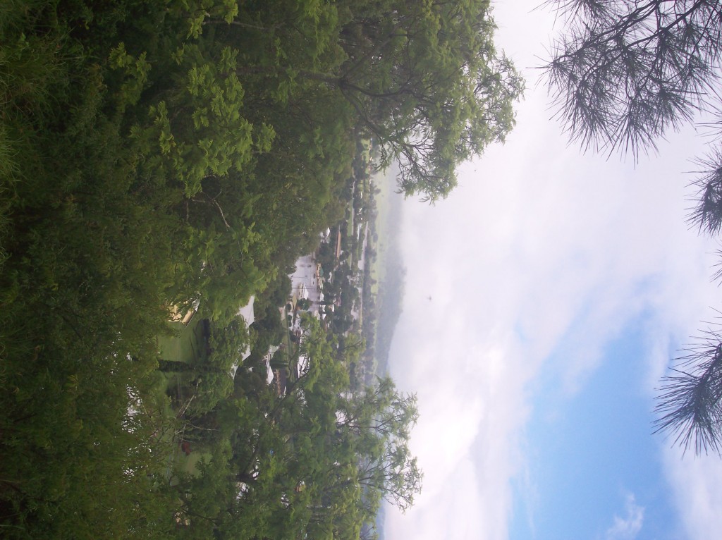 View due-north-west from local lookout towards Geneva over Don Gully