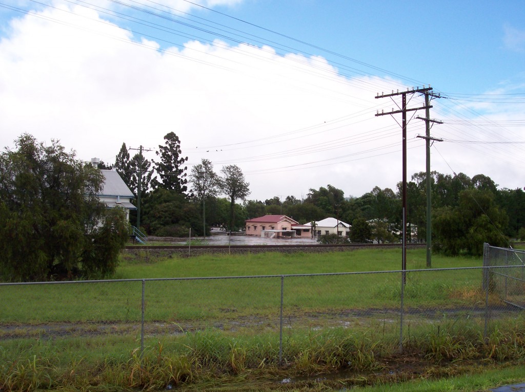 Houses along Walters St.
