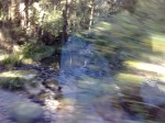 Bad photo