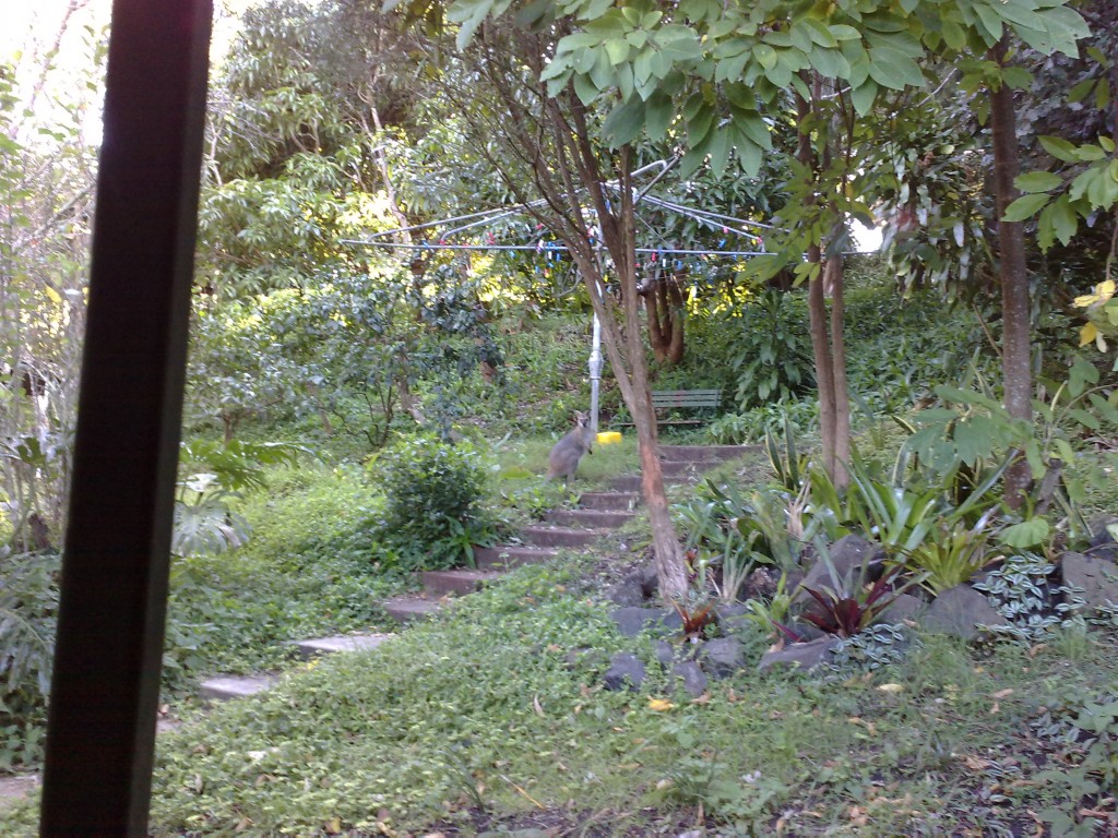 27072009152