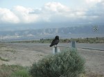 IMG_2041