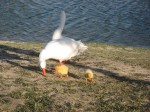 IMG_2059