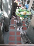 IMG_2229