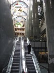IMG_2230
